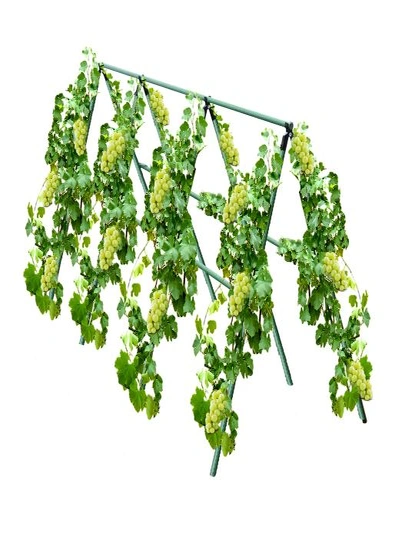 SOGA 90X120cm Plant Frame Tube Trellis Vegetable Flower Herbs Outdoor Vine Support Adjustable Garden Rack, hi-res image number null