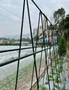 SOGA 90X120cm Plant Frame Tube Trellis Vegetable Flower Herbs Outdoor Vine Support Adjustable Garden Rack, hi-res