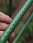 SOGA 150X120cm Plant Frame Tube Trellis Vegetable Flower Herbs Outdoor Vine Support Adjustable Garden Rack, hi-res