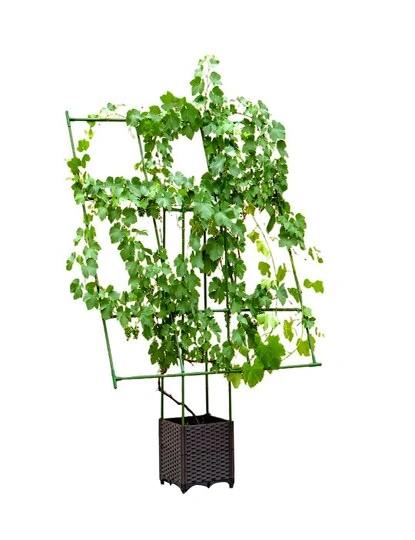 SOGA 160cm Rectangular Inclined Plant Frame Tube Pergola Trellis Vegetable Flower Herbs Outdoor Vine Support Garden Rack, hi-res image number null