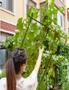 SOGA 160cm Rectangular Inclined Plant Frame Tube Pergola Trellis Vegetable Flower Herbs Outdoor Vine Support Garden Rack, hi-res