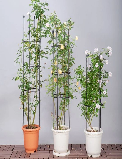 SOGA 73cm 4-Bar Plant Frame Stand Trellis Vegetable Flower Herbs Outdoor Vine Support Garden Rack with Rings, hi-res image number null