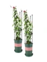 SOGA 2X 73cm 4-Bar Plant Frame Stand Trellis Vegetable Flower Herbs Outdoor Vine Support Garden Rack with Rings, hi-res