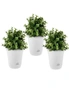 SOGA 20cm White Plastic Plant Pot Self Watering Planter Flower Bonsai Indoor Outdoor Garden Decor Set of 3, hi-res