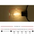 41M Led Festoon String Lights 40 Bulbs Kits A19, hi-res