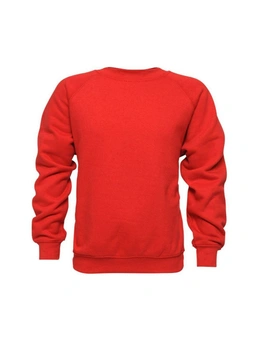Absolute Apparel  Childrens/Kids Sterling Sweat