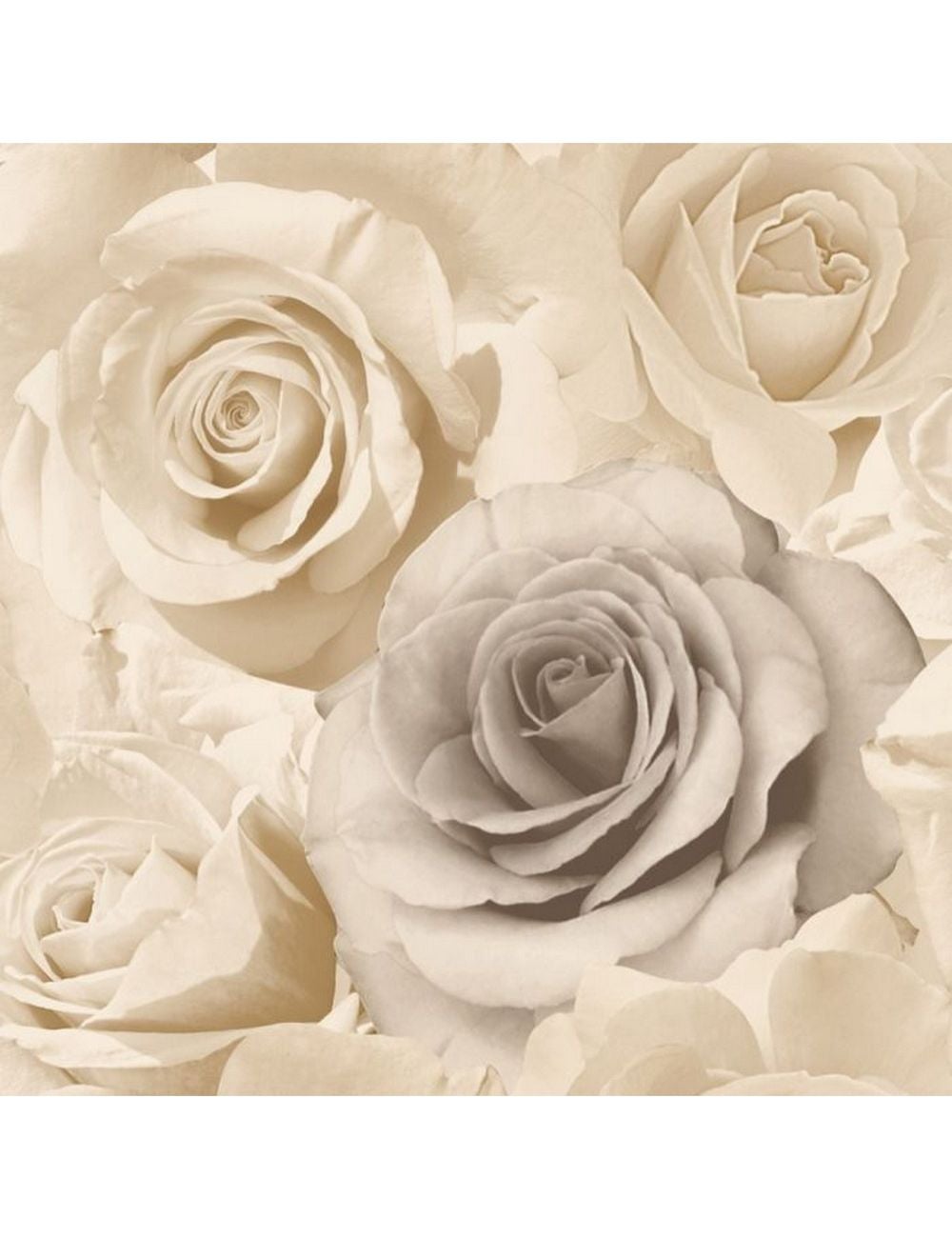 Muriva Madison Roses Wallpaper | Liz Jordan