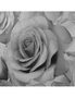 Muriva Madison Rose Glitter Wallpaper, hi-res