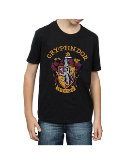 Harry Potter Boys Gryffindor Cotton T-Shirt