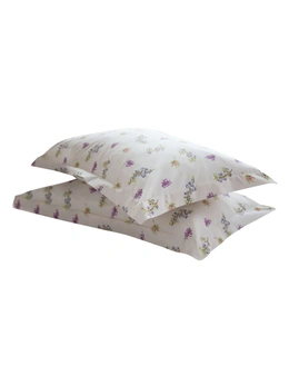 Belledorm Delphine Oxford Pillowcase (1 Pair)