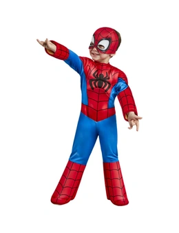 Spider-Man Boys Deluxe Costume
