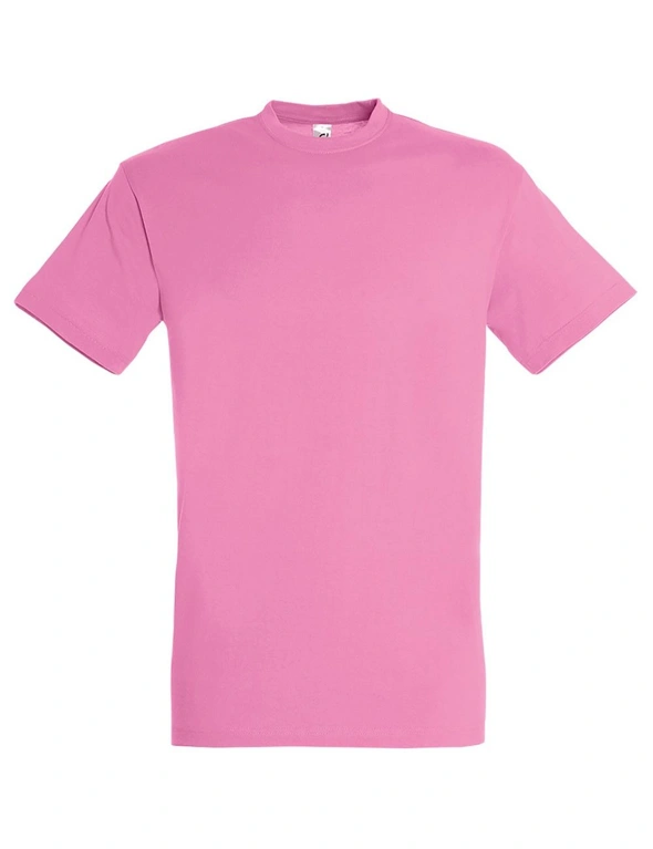 SOLS Mens Regent Short Sleeve T-Shirt, hi-res image number null