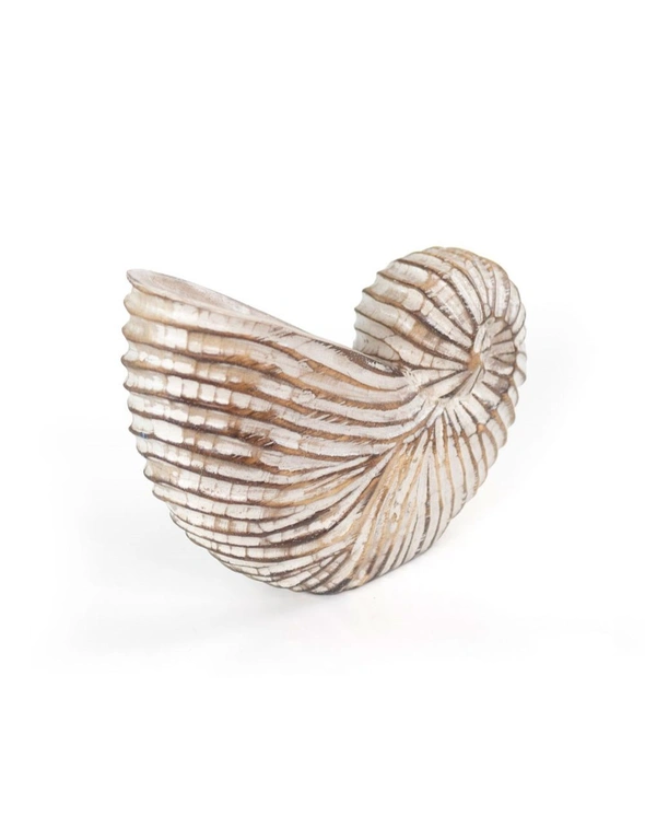 Something Different Wood Shell Ornament, hi-res image number null