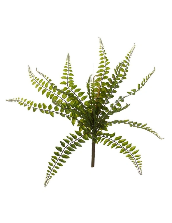 Rogue Jewel Fern Green 34x34x40cm, hi-res image number null