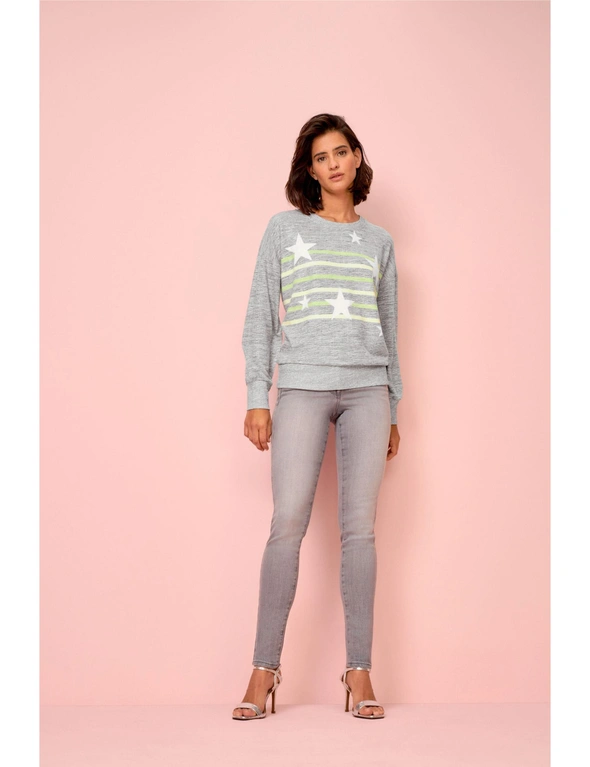 Grey/Lime Green Animal Stripe Long Sleeve Cosy Lightweight Jumper, hi-res image number null