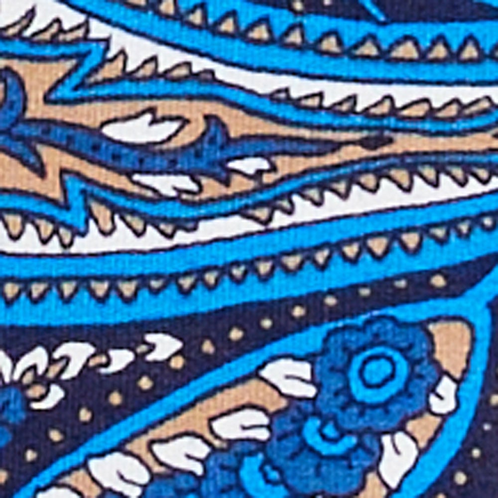 BLUE PAISLEY