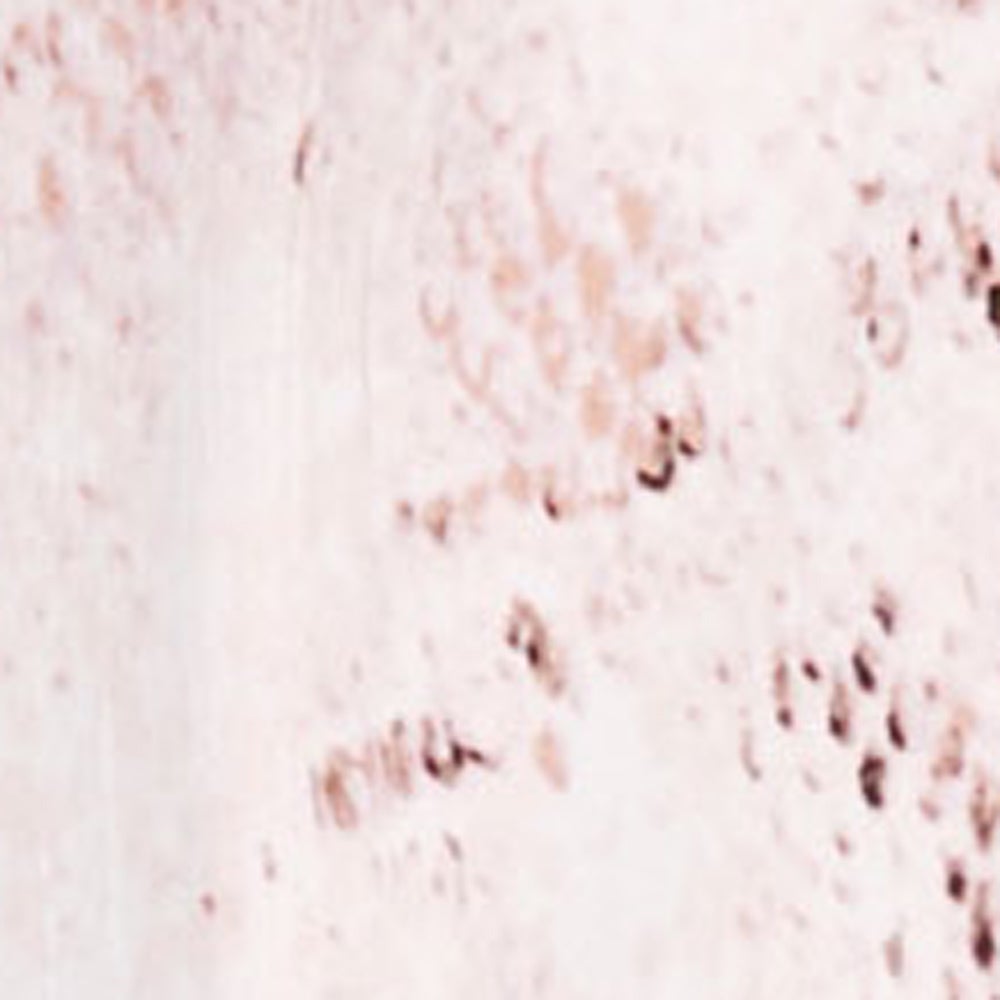 PINK SNAKE